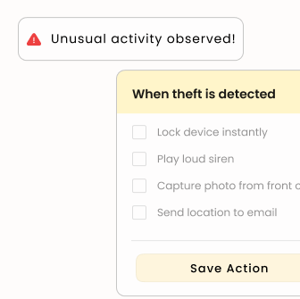 Instant Theft Detection